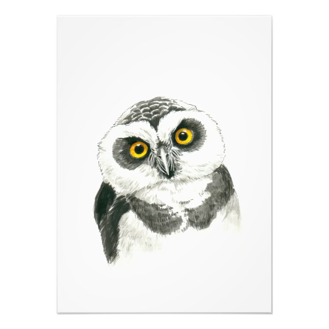 Owl Photo Print (Front)