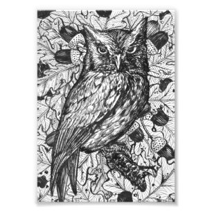 Owl Photo Print