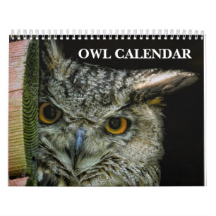 Owl Pictures and Images 2027 Calendar