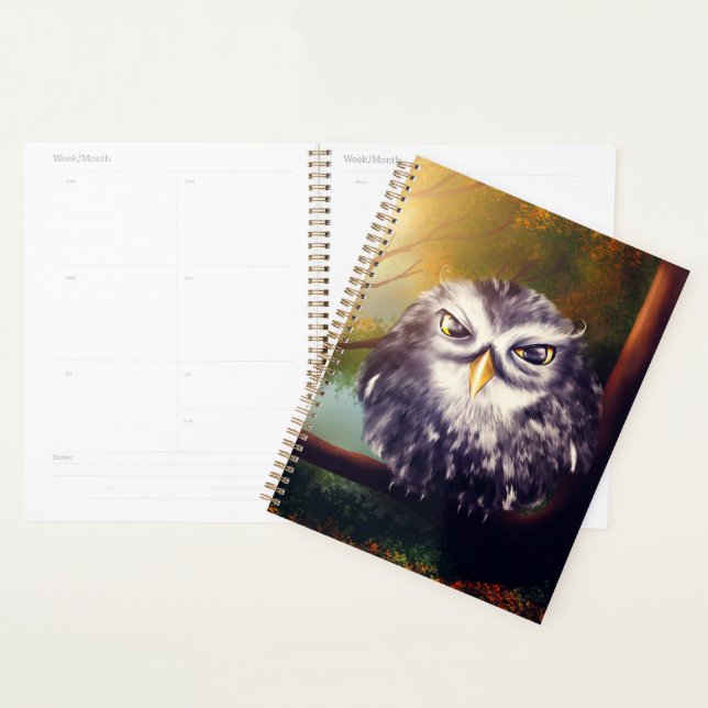 Owl Planner (Display)