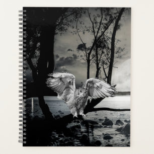 Owl Planner