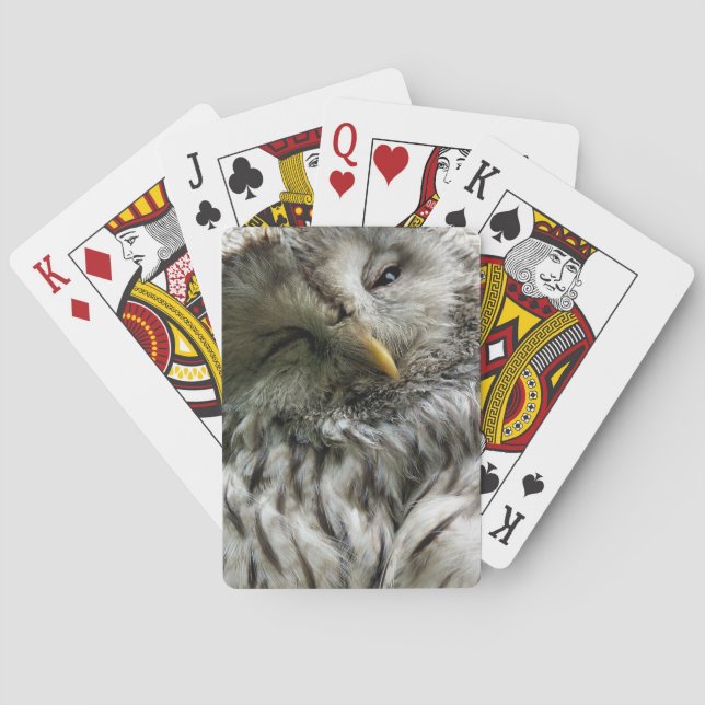 OWL PLAYING CARDS (Back)