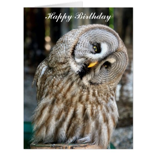 Owl portrait beautiful custom birthday card