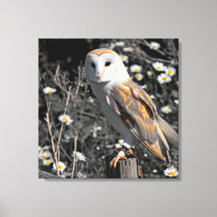 Owl Portrait Canvas Print