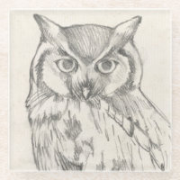 Owl Portrait - Sketch