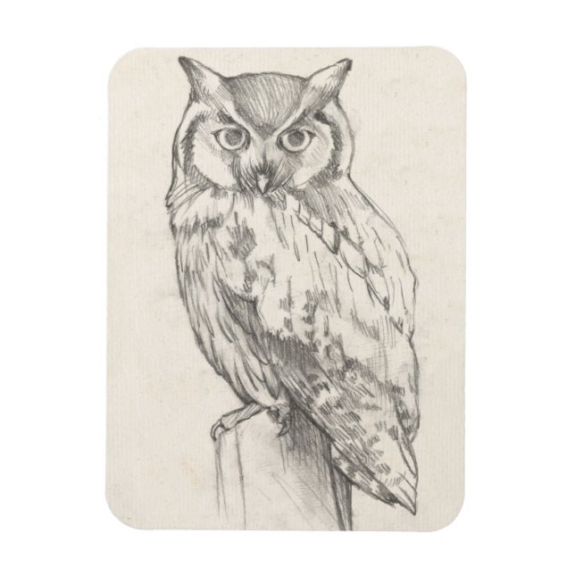 Owl Portrait - Sketch Magnet (Vertical)