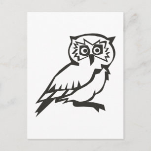 Owl Postcard
