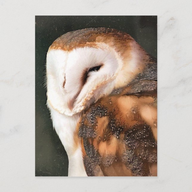 OWL POSTCARD (Front)