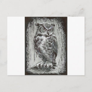 Owl Postcard