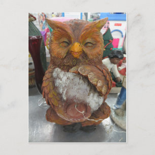 Owl Postcard