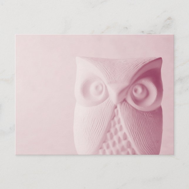 Owl Postcard (Front)