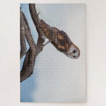 Owl Puzzle