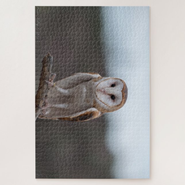 Owl Puzzle (Vertical)