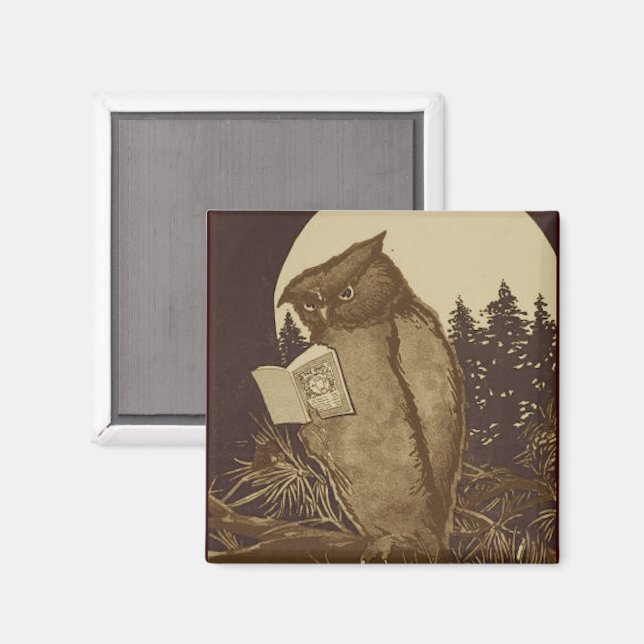 Owl  Reading by Moonlight Magnet (Front/Back)