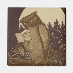Owl Reading by Moonlight Magnet