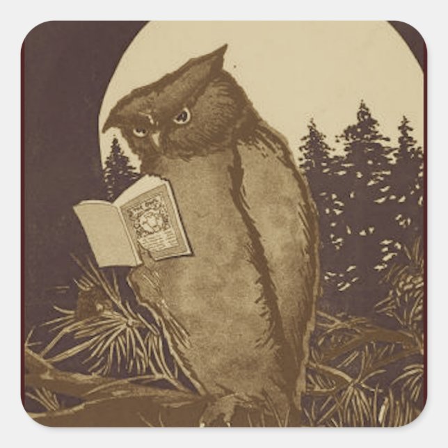 Owl  Reading by Moonlight Square Sticker (Front)