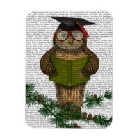 Owl Reading On Branch