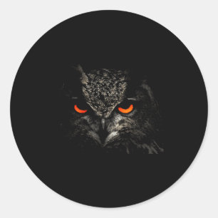 Owl Retro Eye Men Women Kids Gift Apparel Classic Round Sticker