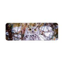 Owl Return Address Label