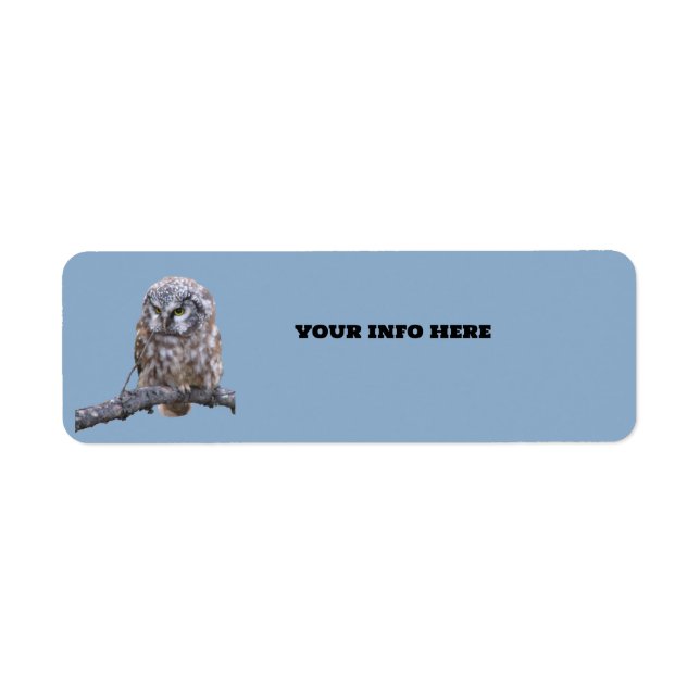  Owl Return Address Label (Front)