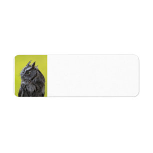 Owl return address label