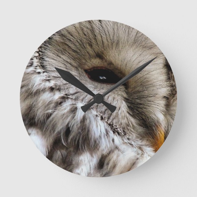 OWL ROUND CLOCK (Front)