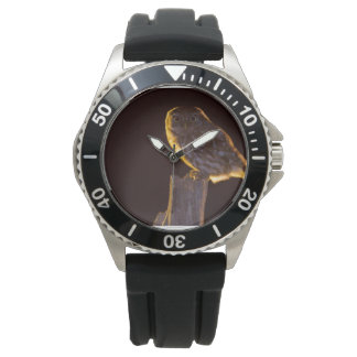 Owl See 11 Watch