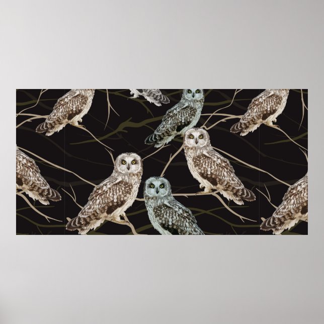owl sitting on a branch poster (Front)
