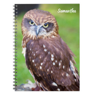 Owl Spiral notebook