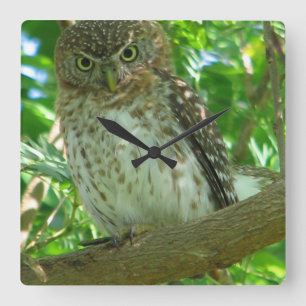 OWL SQUARE WALL CLOCK