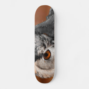 Owl Stare Skateboard