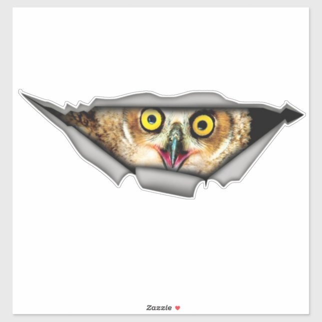 Owl sticker, car decal, Vinyl decal,Car decoration (Sheet)