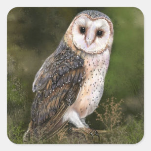 Owl Sticker Gift