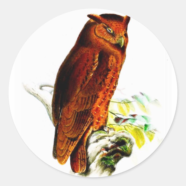 Owl Stickers (Front)