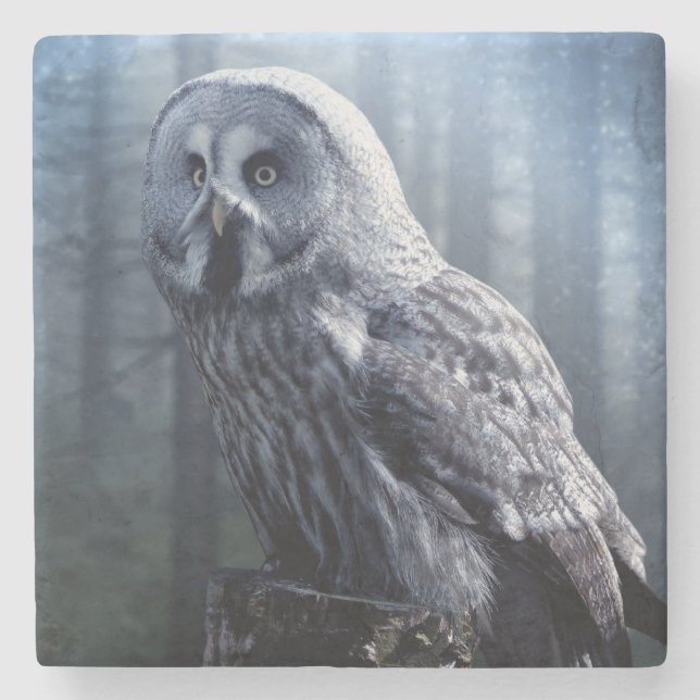 Owl Stone Coaster (Front)