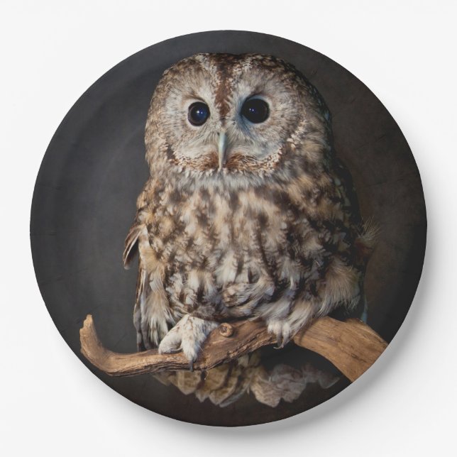 Owl Symbol of wisdom Paper Plate (Front)