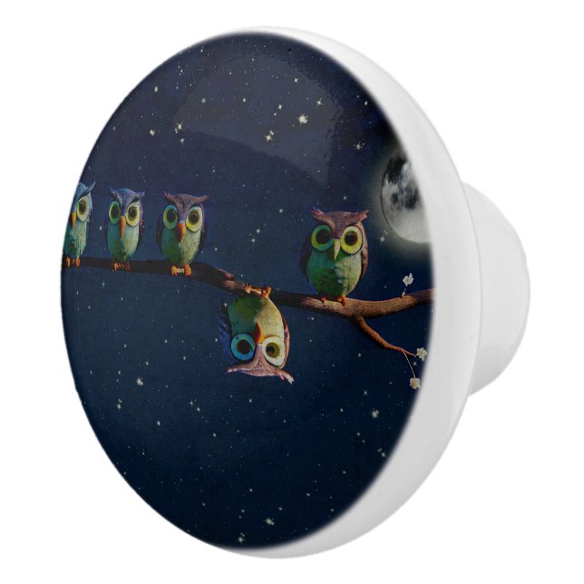 Owl That's Different With Unique Quote Collage Ceramic Knob (Right)