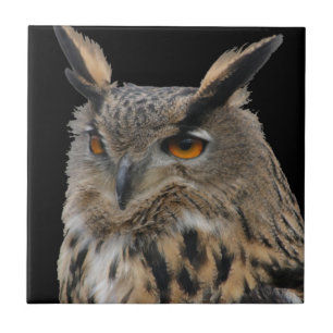 Owl Tile