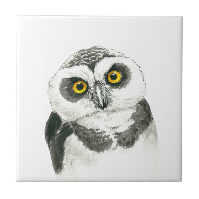 Owl Tile (Front)
