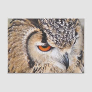 OWL TISSUE PAPER