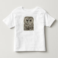 Owl!