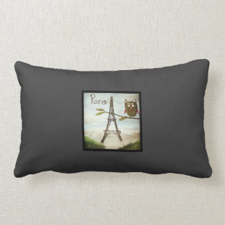 Owl Visits Paris, Part Deux- the Lumbar Support! Pillow