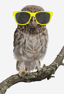 owl_wearing_yellow_sunglasses_t_shirt-r59912f83fd9641f293bed4c441a13944_k2gr0_307.jpg
