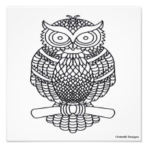Owl (white) - Photo Print