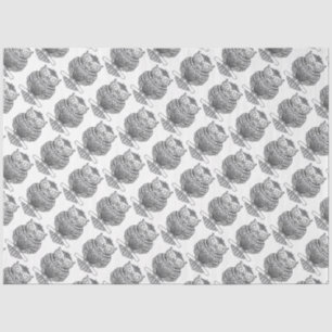 Owl (white) - Tissue Paper