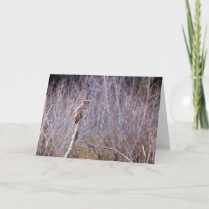 Owl wish you Happy Holidays Holiday Card