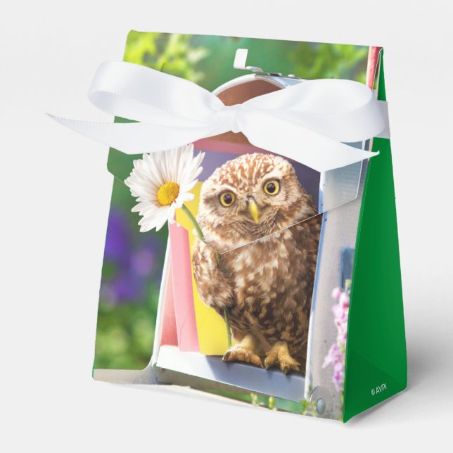 Owl With Flower In Mailbox Favor Box (Front Side)