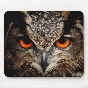 Owl with Orange Eyes Colour Mouse Pad