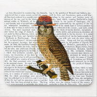 Owl with Steampunk Style Bowler Hat