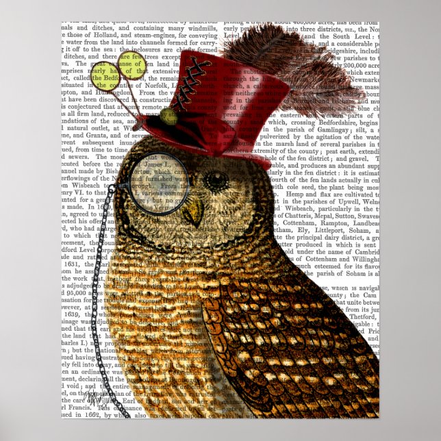 Owl With Top Hat Poster (Front)